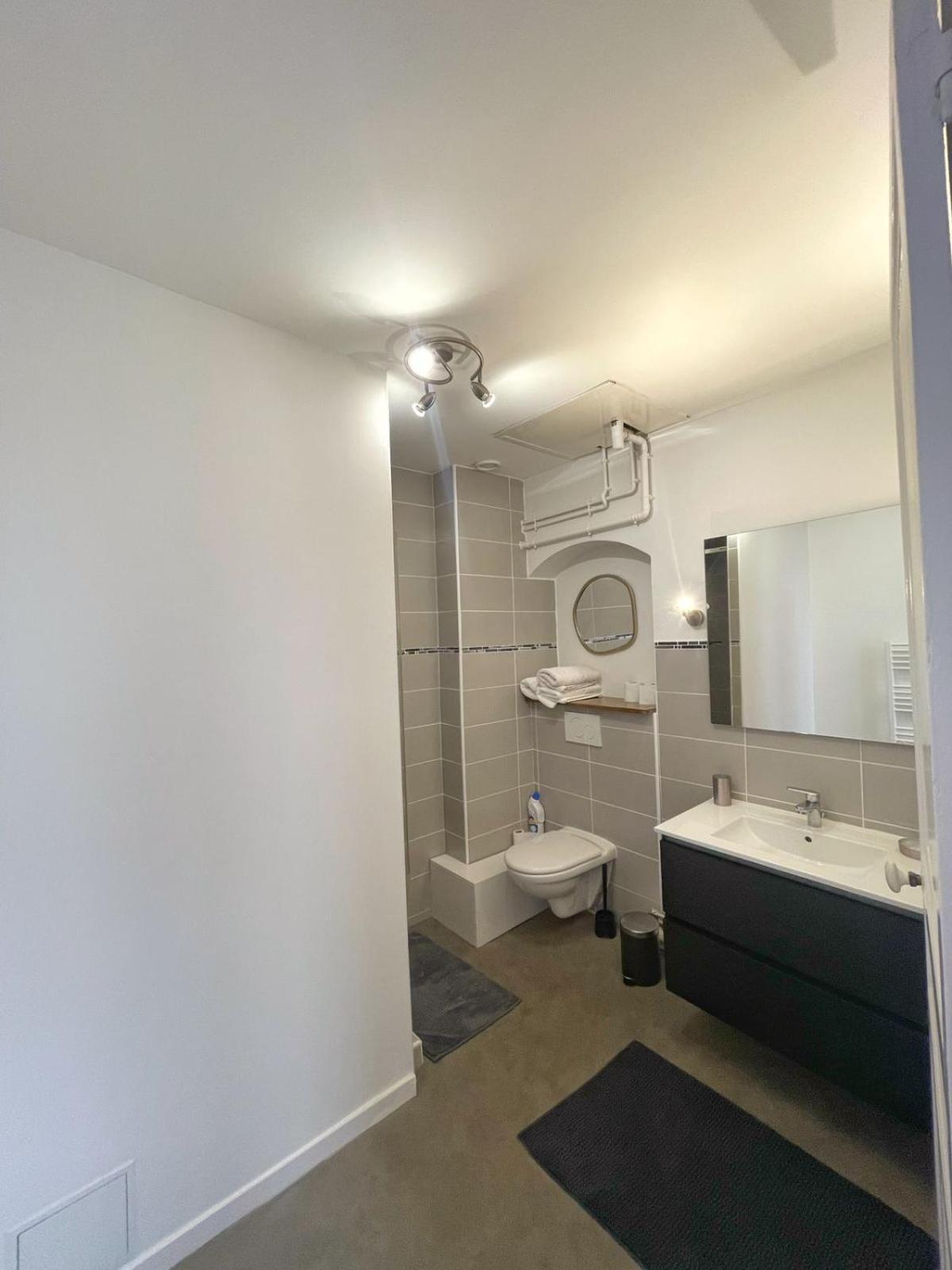 Center Macon Charmant Appartement Avec Vue Sur La Saone Екстериор снимка