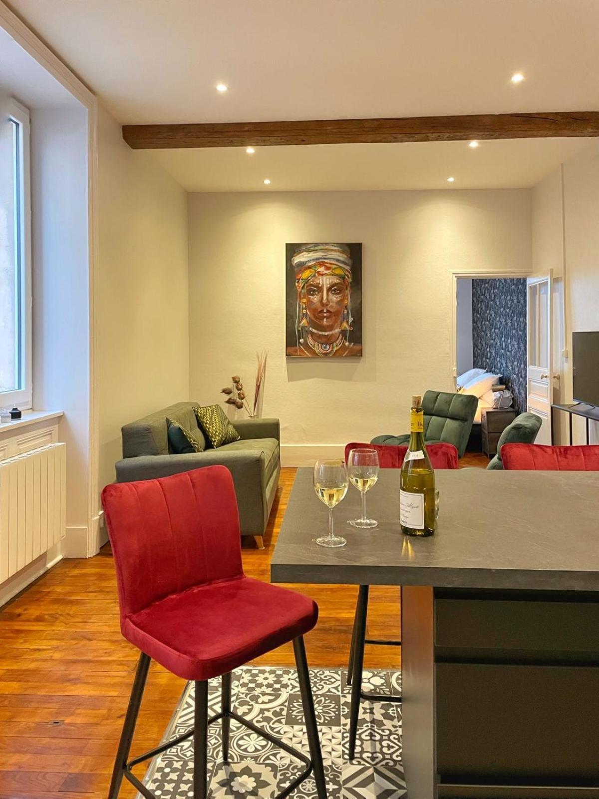 Center Macon Charmant Appartement Avec Vue Sur La Saone Екстериор снимка